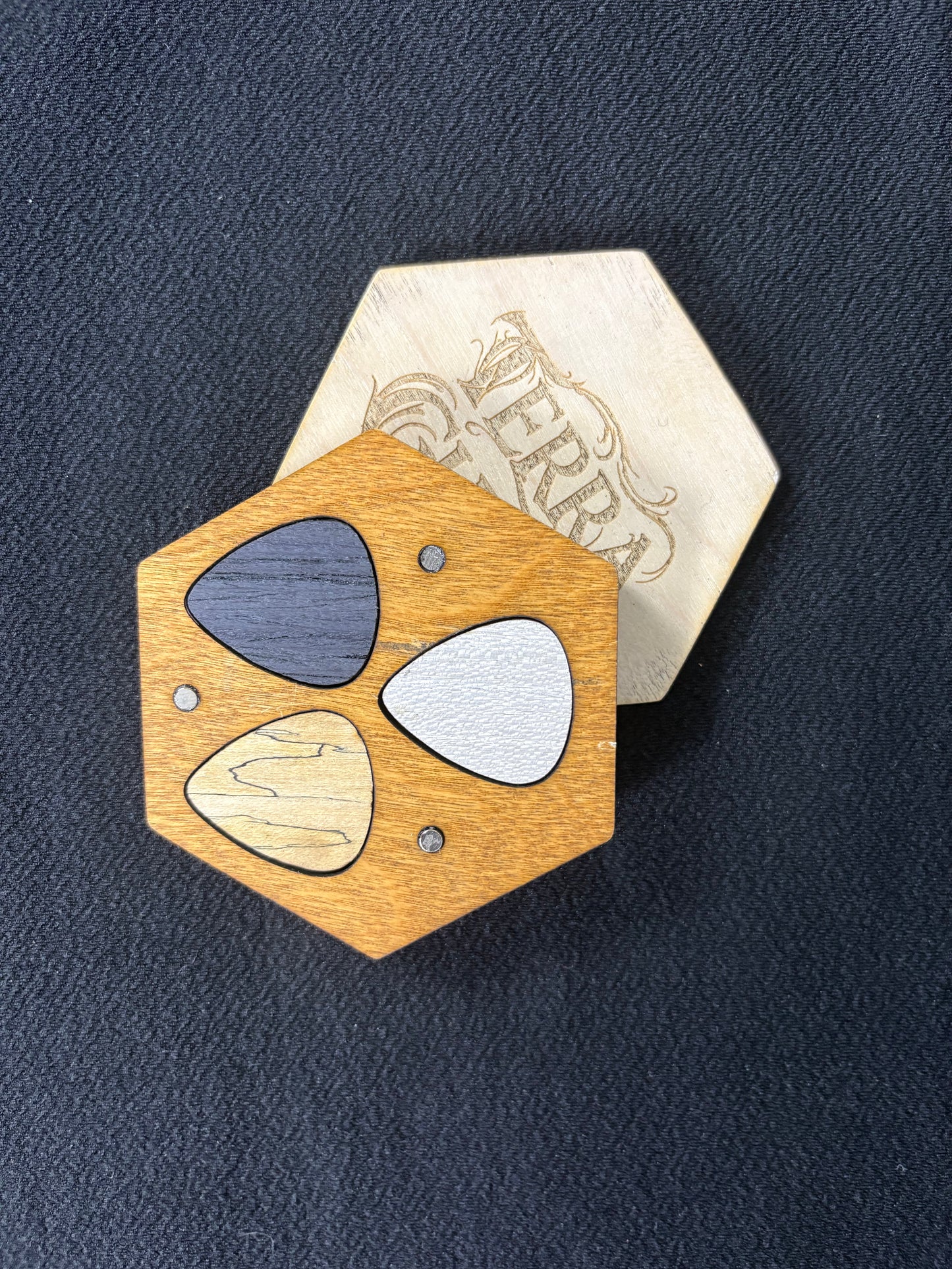 Terra Guitar Pick Case